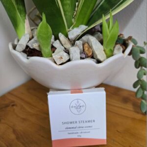 Dinaledi Creation - A Gentle Journey of Discovery: Shower Steamer