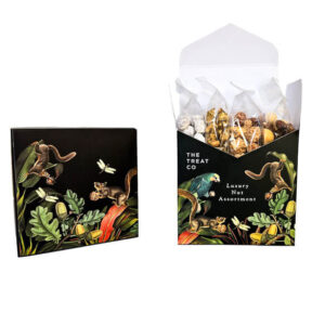 The Treat Co - Luxury Nut Assortment Gift Box